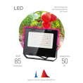 Маленькое фото товара - Фитопрожектор для растений светодиодный ЭРА FITO-50W-RB-LED для цветения и плодоношения красно-синего спектра 50 Вт. Вариант №3