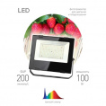 Маленькое фото товара - Фитопрожектор для растений светодиодный ЭРА FITO-100W-Ra90-LED для цветения и плодоношения полного спектра 100 Вт. Вариант №3