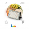 Маленькое фото товара - Фитопрожектор для растений светодиодный ЭРА FITO-80W-Ra90-LED-Y полного спектра. Вариант №2