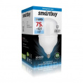 Маленькое фото товара - Светодиодная (LED) Лампа Smartbuy-HP-75W/6500/E27 (SBL-HP-75-65K-E27). Вариант №2