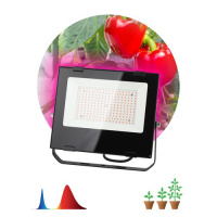 Фото товара - Фитопрожектор для растений светодиодный ЭРА FITO-100W-RB-LED для цветения и плодоношения красно-синего спектра 100 Вт